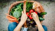 Optimiser son potager en y associant les bons légumes entre eux Optimiser son potager en y associant les bons légumes entre eux