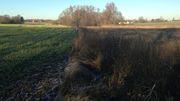 Le "Pré du Duc" forme une bande de nature préservée entre le hameau de Ponceau et une plantation de peupliers le long de l'autoroute E411. Le "Pré du Duc" forme une bande de nature préservée entre le hameau de Ponceau et une plantation de peupliers le long de l'autoroute E411.