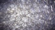 Un photographe réalise une série de photos surprenantes d'objets du quotidien avec un objectif macro Un photographe réalise une série de photos surprenantes d'objets du quotidien avec un objectif macro