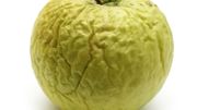 Vous aussi vous luttez contre le gaspillage alimentaire ? Vous aussi vous luttez contre le gaspillage alimentaire ?