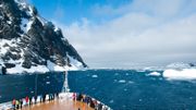 Nouvelle menace pour l'Antarctique: les espèces invasives apportées par l'Homme Nouvelle menace pour l'Antarctique: les espèces invasives apportées par l'Homme