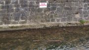 Les eaux de la Trouille sont appréciées pour la pêche à la truite Les eaux de la Trouille sont appréciées pour la pêche à la truite