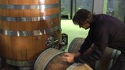 La petite cuverie du "clos des Zouaves" ne va pas servir cette année: les vendanges sont annulées. La petite cuverie du "clos des Zouaves" ne va pas servir cette année: les vendanges sont annulées.