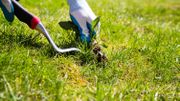Les pesticides au jardin : terminé Les pesticides au jardin : terminé