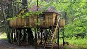Vacances insolites : Des cabanes dans les bois façon Robinson Vacances insolites : Des cabanes dans les bois façon Robinson