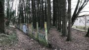 Le bois à l'abandon derrière les anciennes usines Saint-Roch devenu un dépotoir et un lieu d'insécurité Le bois à l'abandon derrière les anciennes usines Saint-Roch devenu un dépotoir et un lieu d'insécurité
