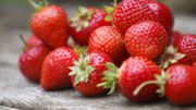 Comment bien choisir ses fraises ? Comment bien choisir ses fraises ?