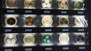 'Une pour tous, tous par une' : une immersion dans l'univers méconnu des microbes, des bactéries, des champignons 'Une pour tous, tous par une' : une immersion dans l'univers méconnu des microbes, des bactéries, des champignons