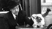 Les chats s'exposent au Musée de la Photographie Les chats s'exposent au Musée de la Photographie