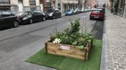 Le petit jardin a été "immatriculé" pour pouvoir rester stationné devant l'entrée de garage Le petit jardin a été "immatriculé" pour pouvoir rester stationné devant l'entrée de garage
