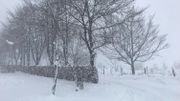 Certaines pistes de ski ouvertes ce jeudi en province de Liège Certaines pistes de ski ouvertes ce jeudi en province de Liège