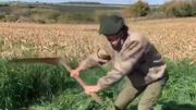 Edinson Cavani sort la grande faucheuse pour travailler ses abdos dans les champs Edinson Cavani sort la grande faucheuse pour travailler ses abdos dans les champs