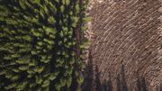 La déforestation bénéfique pour le réchauffement climatique ? Dans certaines conditions, oui ! La déforestation bénéfique pour le réchauffement climatique ? Dans certaines conditions, oui !