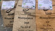 Masqués mais pas muets, les travailleurs du non-marchand ont fait entendre leurs voix dans les rues de Mons Masqués mais pas muets, les travailleurs du non-marchand ont fait entendre leurs voix dans les rues de Mons
