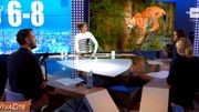 Focus sur le retour du lynx en Belgique &... Focus sur le retour du lynx en Belgique &...