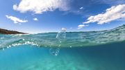 Des scientifiques créent par hasard une enzyme dévoreuse de plastique Des scientifiques créent par hasard une enzyme dévoreuse de plastique