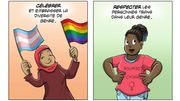 Transidentités et rôles modèles grâce à la BD Transidentités et rôles modèles grâce à la BD