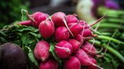 Créer un carré potager, c'est cultiver le plaisir et une alimentation saine à portée de main ! Créer un carré potager, c'est cultiver le plaisir et une alimentation saine à portée de main !