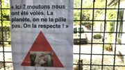 Des affiches rappellent que "La planète, on la respecte, on ne la pille pas!" Des affiches rappellent que "La planète, on la respecte, on ne la pille pas!"