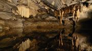 Les grottes de Han, ce sont 14 kilomètres de salles et de galeries découvertes à ce jour. Les grottes de Han, ce sont 14 kilomètres de salles et de galeries découvertes à ce jour.