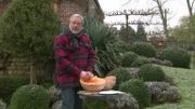 "Potirons & Loisirs", la parodie du Grand Cactus "Potirons & Loisirs", la parodie du Grand Cactus