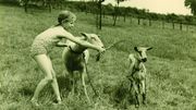 Les 75 ans de la Bataille des Ardennes : programmation spéciale Les 75 ans de la Bataille des Ardennes : programmation spéciale