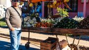 Dans de nombreuses villes du pays, le carriole du producteur est le seul centre d'achat de fruits et légumes locaux et de saison. Dans de nombreuses villes du pays, le carriole du producteur est le seul centre d'achat de fruits et légumes locaux et de saison.