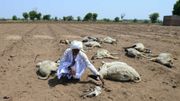 Chaleur extrême: près de 50 morts dans le nord de l'Inde Chaleur extrême: près de 50 morts dans le nord de l'Inde