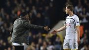 Jan Vertonghen a eu la visite d'un invité surprise sur la pelouse Jan Vertonghen a eu la visite d'un invité surprise sur la pelouse