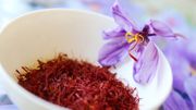 5 épices et fines herbes qui rendent heureux 5 épices et fines herbes qui rendent heureux
