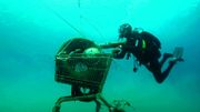 570.000 tonnes de plastique en Méditerranée : sous l'eau turquoise de Grèce, le dépotoir