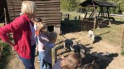 Des milliers d'enfants passent chaque année à la Ferme équestre, lors de stages, de visites scolaires ou d'animations diverses. Des milliers d'enfants passent chaque année à la Ferme équestre, lors de stages, de visites scolaires ou d'animations diverses.