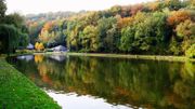 Le bois des rêves Le bois des rêves