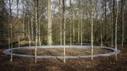 Forêt de Soignes: cérémonie d'hommage avec des victimes et des proches Forêt de Soignes: cérémonie d'hommage avec des victimes et des proches