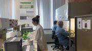 Phase d'inactivation du virus Phase d'inactivation du virus