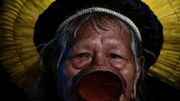 Le chef indien brésilien, de la tribu kayapo, Raoni Metuktire, est la grande figure de la lutte contre la déforestation en Amazonie. Le chef indien brésilien, de la tribu kayapo, Raoni Metuktire, est la grande figure de la lutte contre la déforestation en Amazonie.