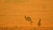 Enquête sur les incendies en Australie: "Ce n'est pas un événement ponctuel" Enquête sur les incendies en Australie: "Ce n'est pas un événement ponctuel"