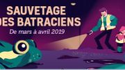 sauvons les batraciens ! sauvons les batraciens !