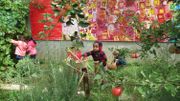 Un potager dans la cour de l'École maternelle de La Marolle, Ville de Bruxelles Un potager dans la cour de l'École maternelle de La Marolle, Ville de Bruxelles