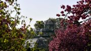 Les Serres royales de Laeken à nouveau ouvertes au public pour une vingtaine de jours Les Serres royales de Laeken à nouveau ouvertes au public pour une vingtaine de jours