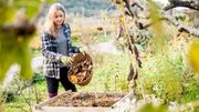 L'engrais… Optez pour l'alternative naturelle faite maison ! L'engrais… Optez pour l'alternative naturelle faite maison !
