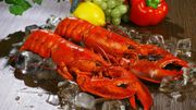 Le homard est plus grand. Le homard est plus grand.
