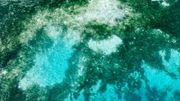 La grande barrière de corail, l'une des plus grandes merveilles naturelles de la planète, est même visible depuis l'espace. La grande barrière de corail, l'une des plus grandes merveilles naturelles de la planète, est même visible depuis l'espace.