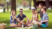 Le pique-nique : Et si vous vous y mettiez ? Le pique-nique : Et si vous vous y mettiez ?