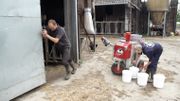 Un diplôme d’électricien en poche, Tanguy se tourne tout de même vers le métier d’agriculteur Un diplôme d’électricien en poche, Tanguy se tourne tout de même vers le métier d’agriculteur