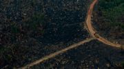 Le Brésil entre en action contre les incendies en Amazonie Le Brésil entre en action contre les incendies en Amazonie