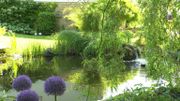 C’est dans le jardin de Claude Monet à Giverny que Fabienne est tombée sous le charme de l’eau. C’est dans le jardin de Claude Monet à Giverny que Fabienne est tombée sous le charme de l’eau.