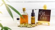 De nombreux CBD shop amenés à fermer en région liégeoise : quelles sont les raisons ? De nombreux CBD shop amenés à fermer en région liégeoise : quelles sont les raisons ?