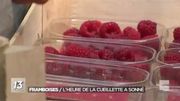 Rémi Hogge vend ses fruits à de grandes enseignes, mais la vente aux particuliers fonctionne très bien. Rémi Hogge vend ses fruits à de grandes enseignes, mais la vente aux particuliers fonctionne très bien.