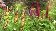 Marylyn Abbott adore les couleurs Marylyn Abbott adore les couleurs